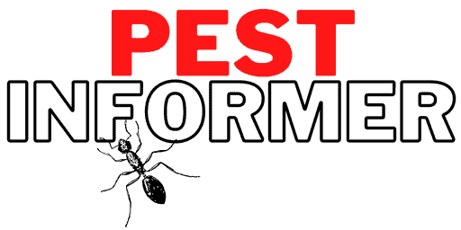 pestinformer.com